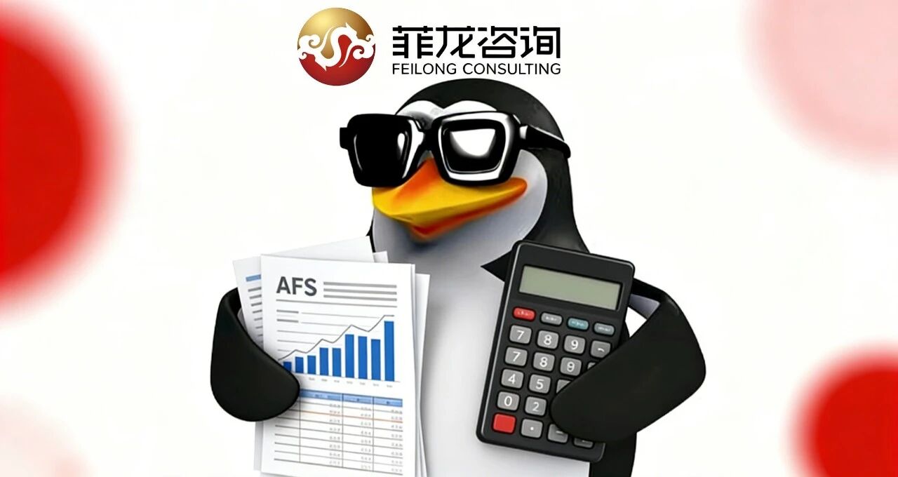 审核材料屡遭打回？这份AFS 经审计财报的实用攻略赶紧码住！